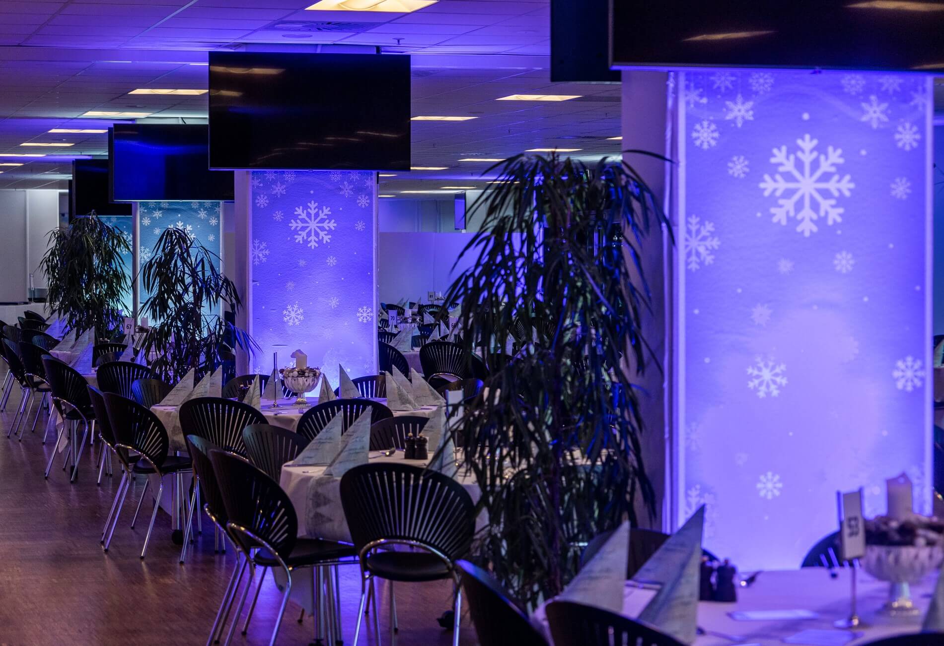 Den Store Julefrokost på Blue Water Arena med frost tema