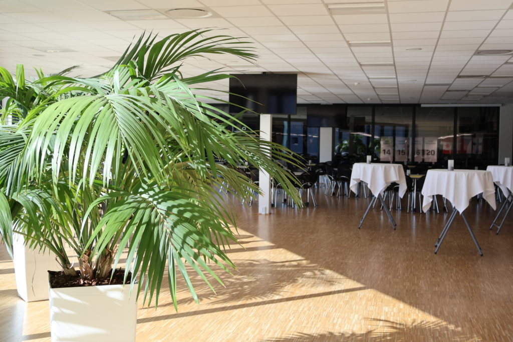 Lyst lokale med grønne planter og opdækkede ståborde i moderne omgivelser hos Esbjerg Konference & Event.