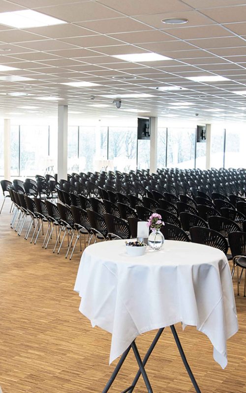 Stort mødelokale Esbjerg Konference og Event