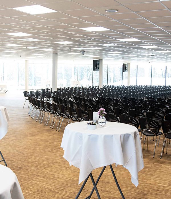 Stort mødelokale Esbjerg Konference og Event