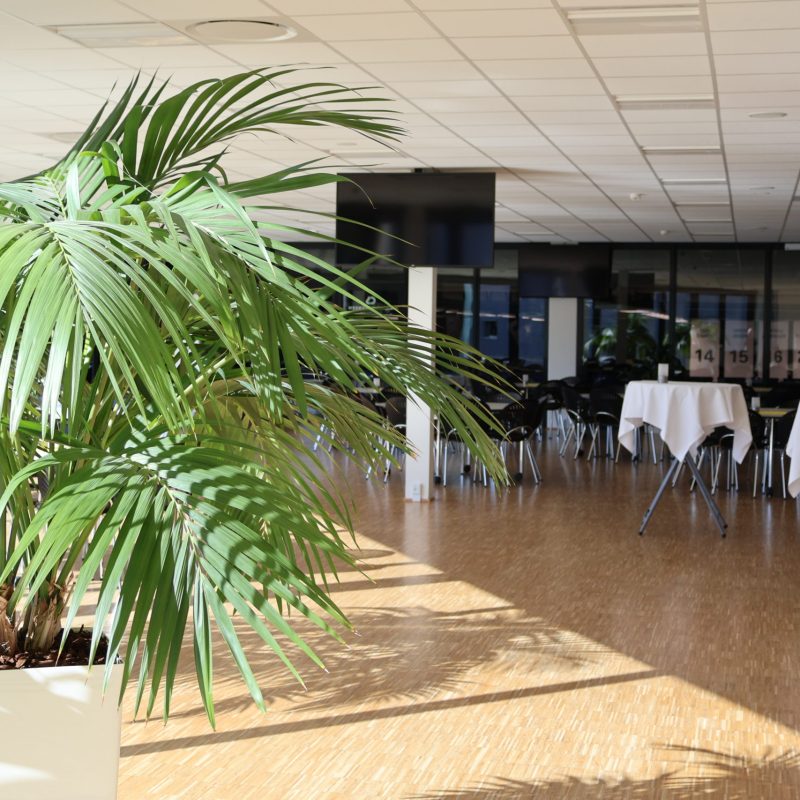 Lyst lokale med grønne planter og opdækkede ståborde i moderne omgivelser hos Esbjerg Konference & Event.