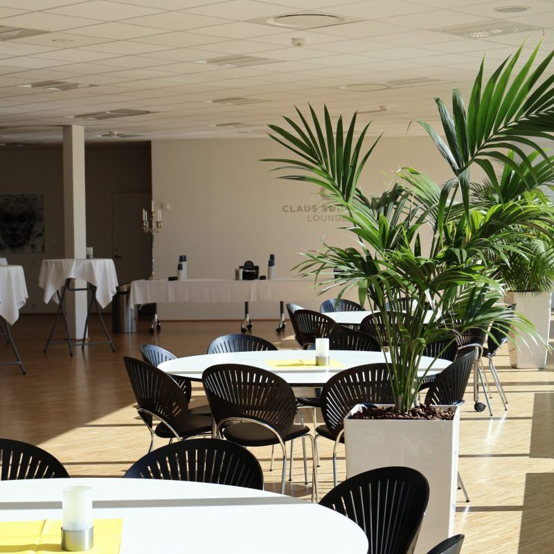 Claus Sørensen Lounge hos Esbjerg Konference & Event med udsigt til Granly Hockey Arena og grønne områder.