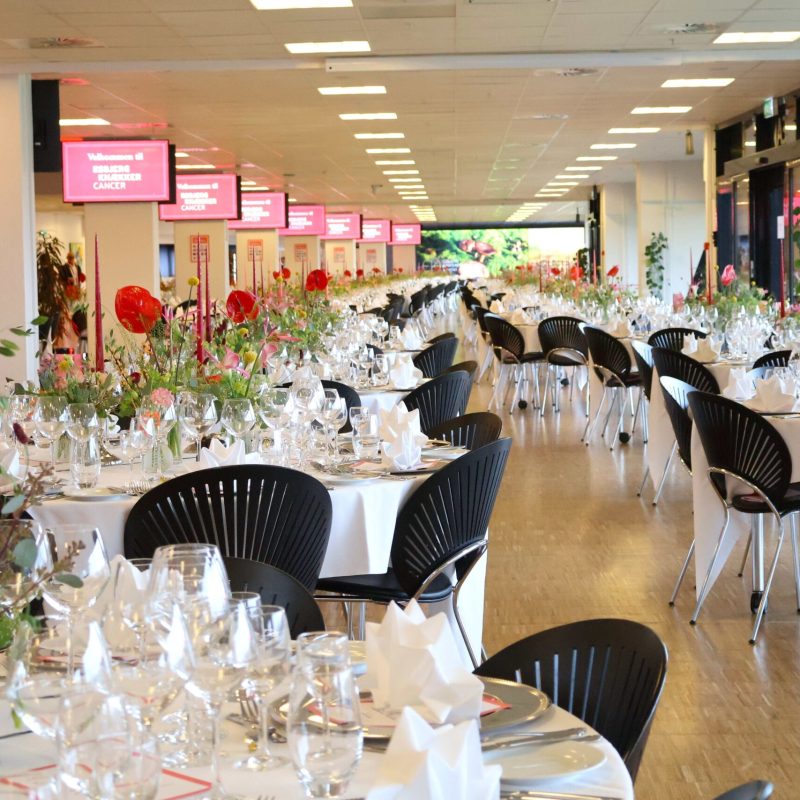 Esbjerg Knækker Cancer 2025 i Carlsberg Loungen på Blue Water Arena afviklet af Esbjerg Konference & Event