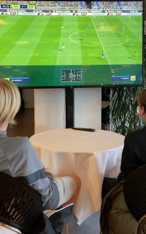 PlayStation som underholdning til fødselsdag.